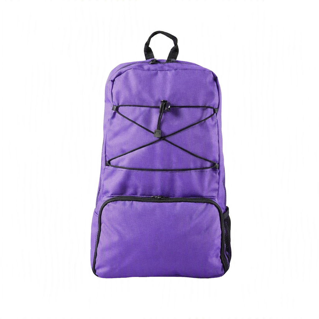 Kangaroo OMNI Feeding Pump Backpack Large Purple | Cardinal Health