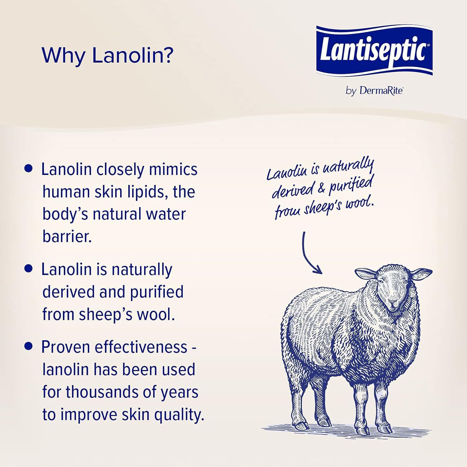 Lantiseptic Moisture Shield Skin Protectant Ointment thumbnail 5