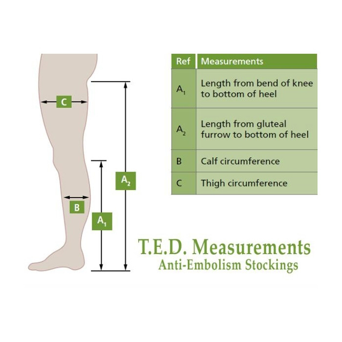 T.E.D. Knee-High Anti-Embolism Stockings For Continuing Care thumbnail 5