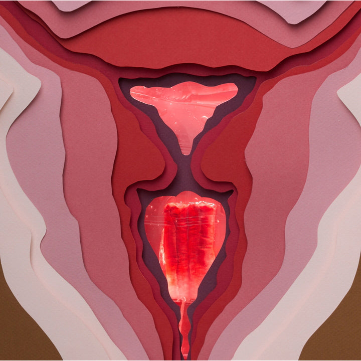 The Honey Pot Company Organic Cotton Core Tampons thumbnail 7