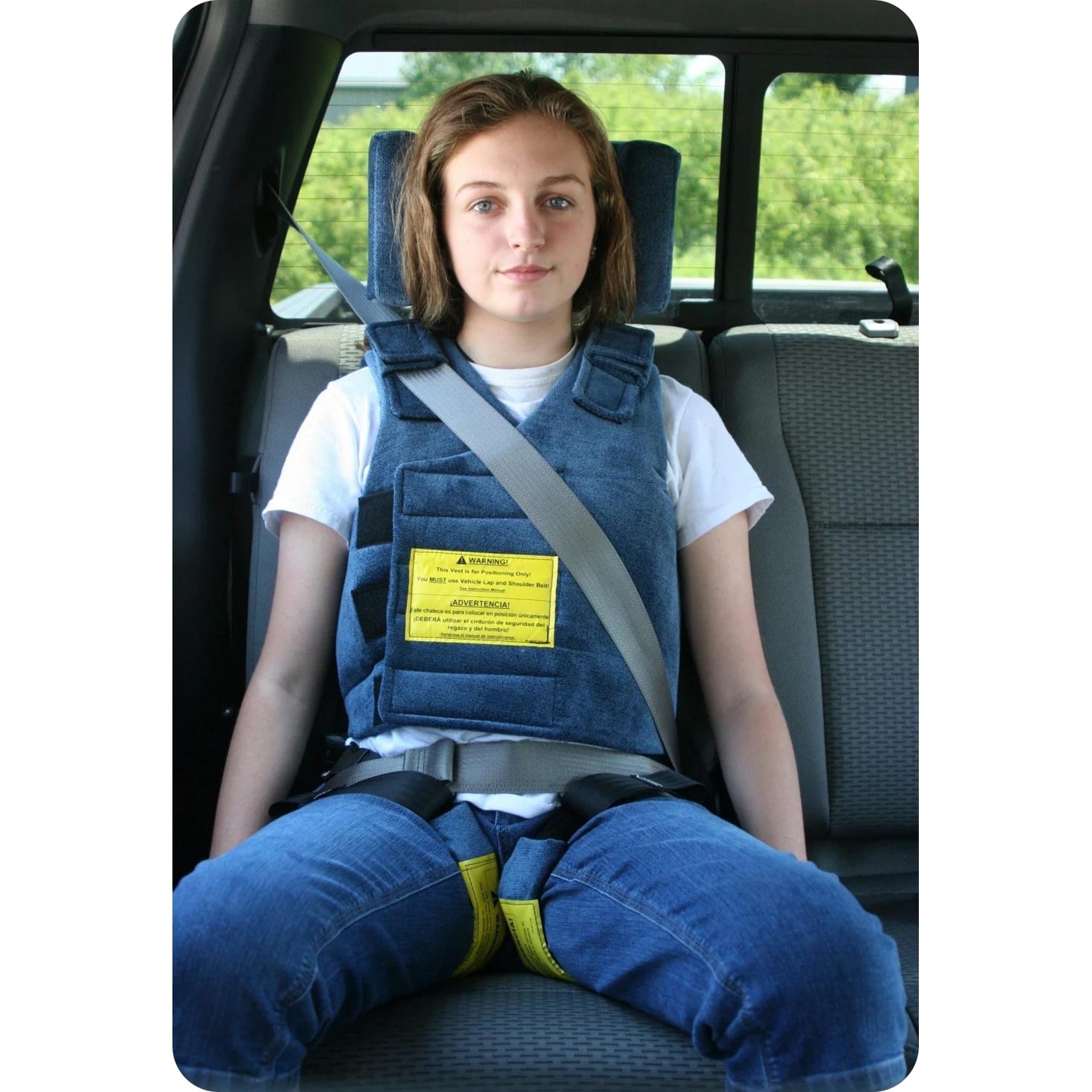 Chamberlain Positioning Vehicle Seat Belt System thumbnail 2