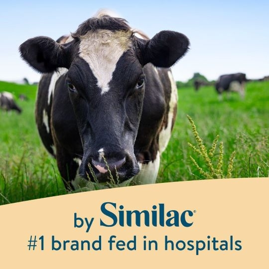 Pure Bliss by Similac Irish Farms Infant Formula, Powder thumbnail 9