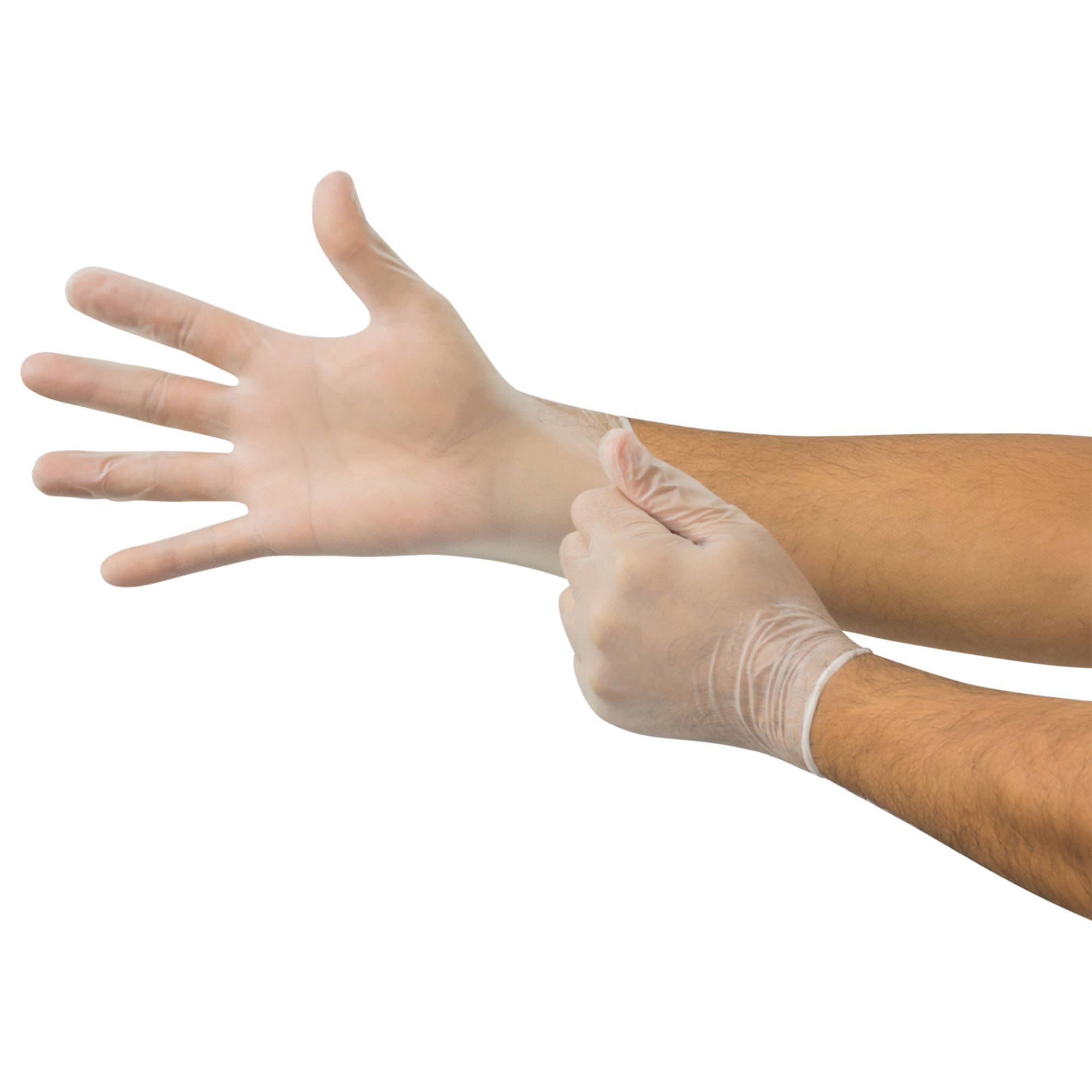Ansell Micro-Touch Elite NonSterile Vinyl Exam Gloves thumbnail 3