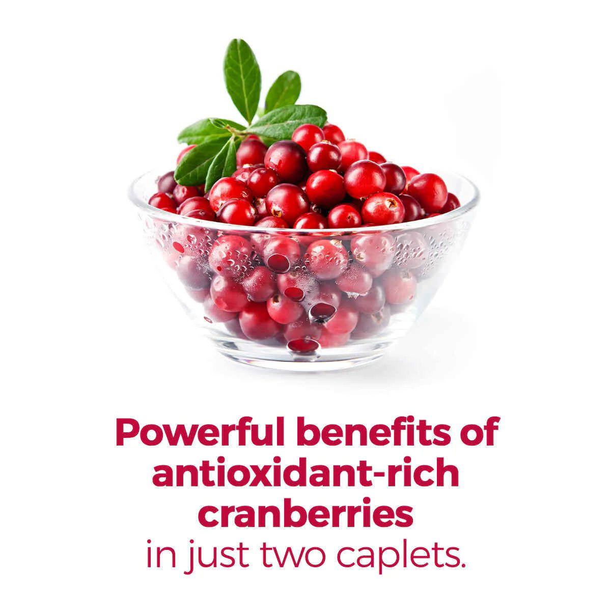 AZO Urinary Pain Relief Tablets, Cranberry - Box of 50 thumbnail 5